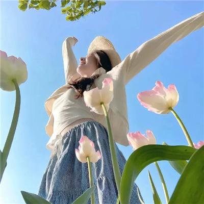 莲花仙子